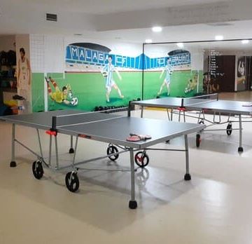 Bil Bil House tenis de mesa